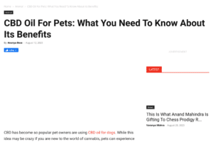 The Potential Benefits of CBD for Dogs: Anxiety Relief, Pain Management, and Quality of Life Improvement