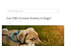 CBD (cannabidiol) has gained popularity in recent years for its various therapeutic effects, not onl…
