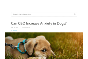 CBD (cannabidiol) has gained popularity in recent years for its various therapeutic effects, not onl…