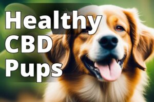 Safe CBD for Dogs: Everything You Need to Know to Keep Your Pup Healthy