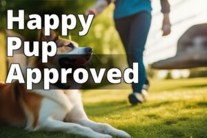 The Complete Guide to CBD for Dogs Reviews: Choosing the Right Products for Your Furry Friend