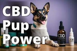 Top-Rated CBD Products for Dogs: A Comprehensive Guide for Pet Owners