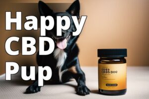 The Ultimate Vet-Approved CBD Guide for Dogs: Everything You Need to Know