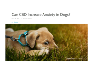 Discovering the Advantages of CBD for Canines

CBD, or cannabidiol, has become a popular topic of co…