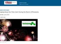The Potential Benefits of CBD for Dogs: Exploring Anxiety Reduction, Pain Management, and More