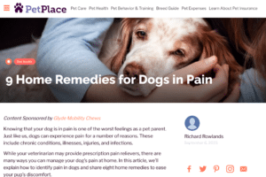 Exploring the Potential Benefits of CBD for Dogs: A Comprehensive Guide