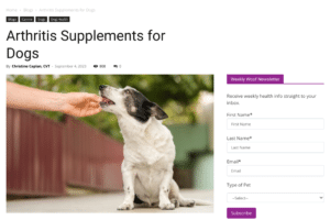 The Benefits of CBD Oil for Dogs with Arthritis: A Natural Solution for Pain Relief