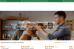 The Potential Benefits and Risks of CBD Oil for Dogs: What You Need to Know