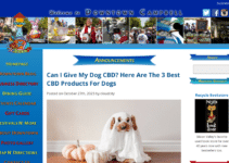 The Benefits of CBD Oil for Dogs: Alleviating Joint Pain and More