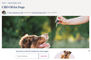 The Potential Benefits and Safety of CBD Oil for Dogs