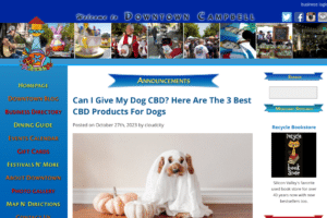 Exploring the Benefits of CBD Oil for Dogs with CBD Dog Health